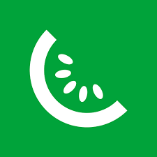 Braip Logo